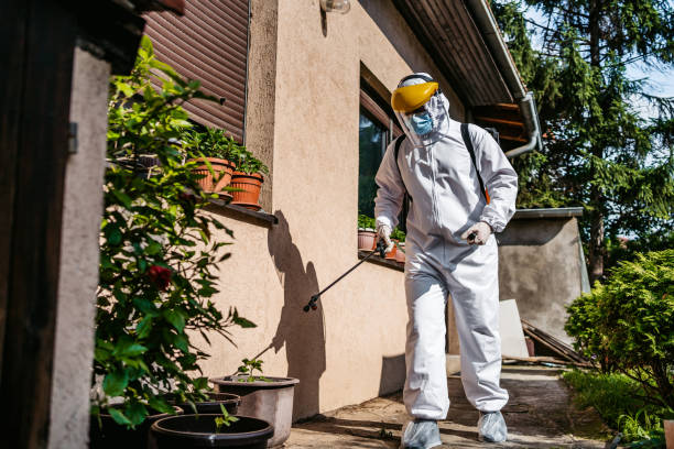 Best Mosquito Control Services  in Black Point Green Point, CA